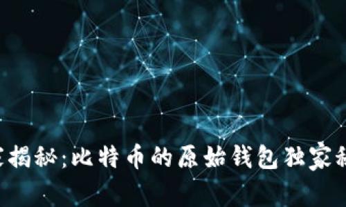 专家揭秘：比特币的原始钱包独家秘诀！