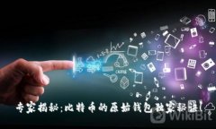 专家揭秘：比特币的原始