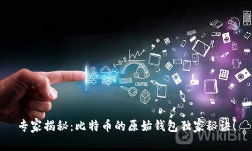 专家揭秘：比特币的原始钱包独家秘诀！