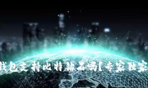 火币钱包支持比特钻石吗？专家独家揭秘！