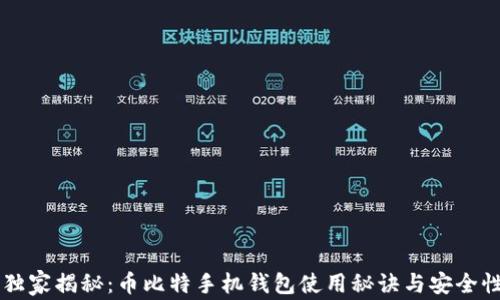 
专家独家揭秘：币比特手机钱包使用秘诀与安全性分析
