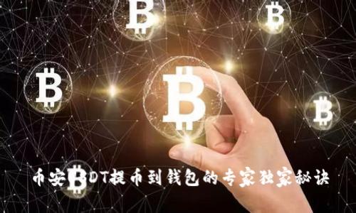 币安USDT提币到钱包的专家独家秘诀