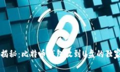 专家揭秘：比特币钱包放