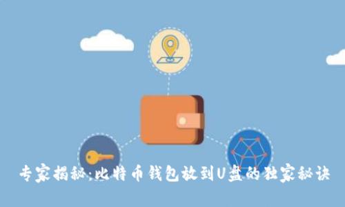 专家揭秘：比特币钱包放到U盘的独家秘诀