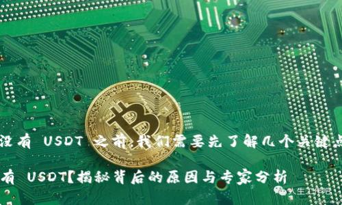 在讨论为什么 Tokenim 没有 USDT 之前，我们需要先了解几个关键点，涉及的背景和相关知识。

### 为何 Tokenim 没有 USDT？揭秘背后的原因与专家分析