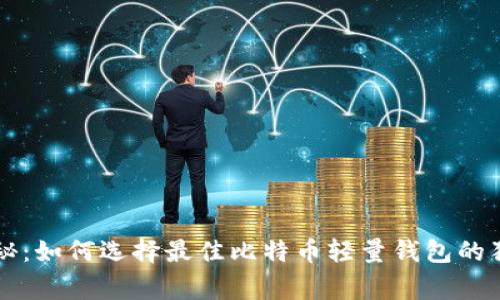 专家揭秘：如何选择最佳比特币轻量钱包的独家秘诀