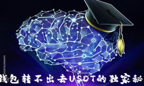 
专家揭秘：TP钱包转不出去USDT的独家秘诀及解决方案