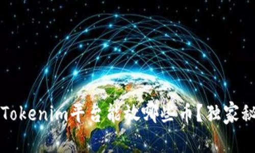 专家揭秘：Tokenim平台能放哪些币？独家秘诀告诉你！