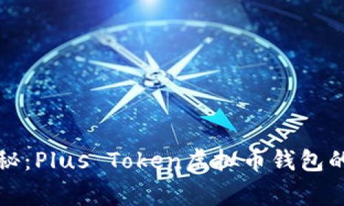 专家独家揭秘：Plus Token虚拟币钱包的秘密与风险