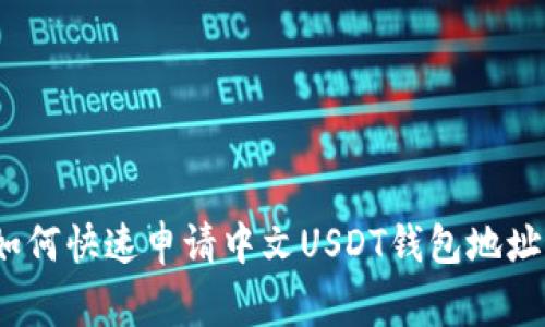 专家揭秘：如何快速申请中文USDT钱包地址的独家秘诀