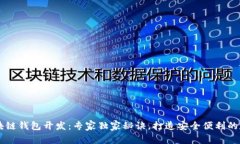 Java区块链钱包开发：专家