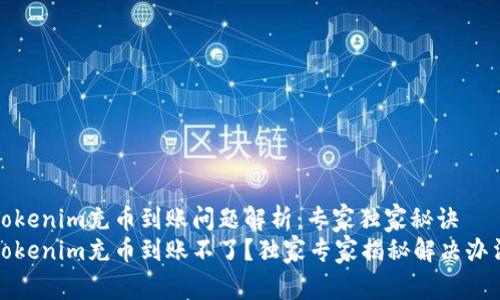 Tokenim充币到账问题解析：专家独家秘诀
Tokenim充币到账不了？独家专家揭秘解决办法