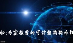 独家揭秘：专家推荐的可