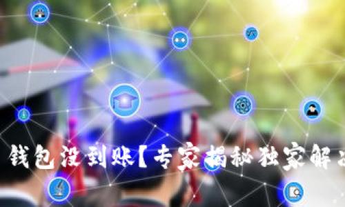 比特币钱包没到账？专家揭秘独家解决秘诀！