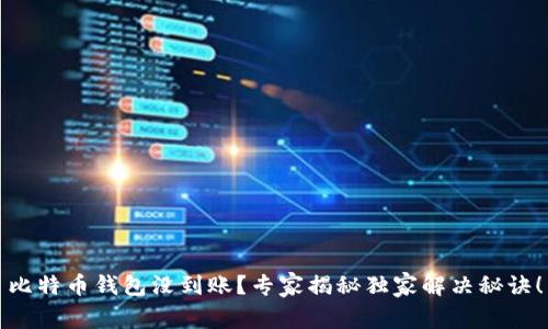 比特币钱包没到账？专家揭秘独家解决秘诀！