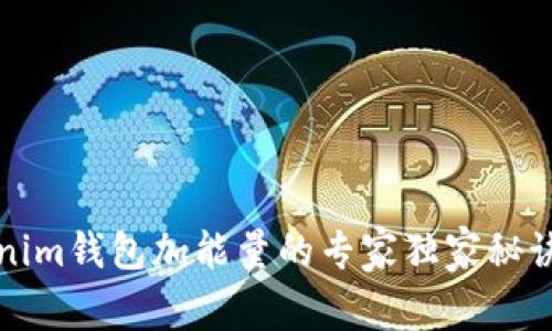 Tokenim钱包加能量的专家独家秘诀解析