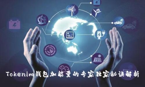 Tokenim钱包加能量的专家独家秘诀解析
