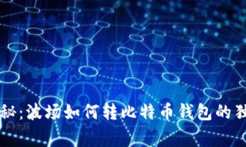 专家揭秘：波场如何转比特币钱包的独家秘诀