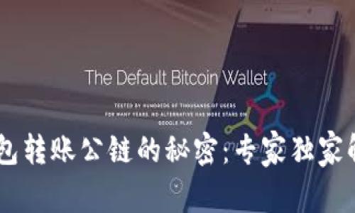 揭秘USDT钱包转账公链的秘密：专家独家解析转账秘诀
