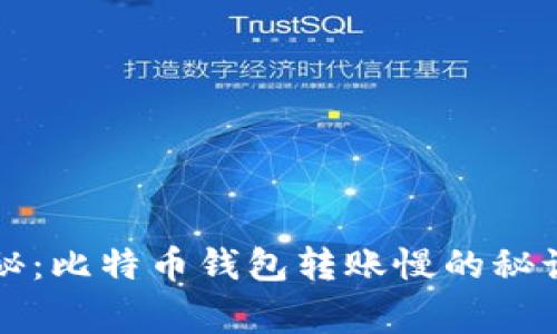 专家独家揭秘：比特币钱包转账慢的秘诀与解决方案