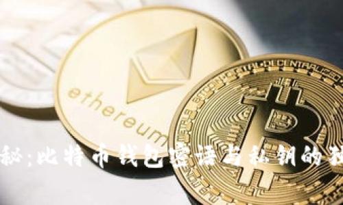 专家揭秘：比特币钱包密语与私钥的独家秘诀