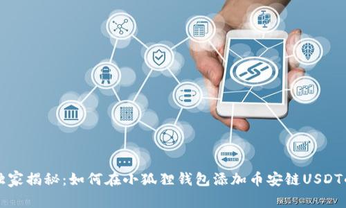 专家独家揭秘：如何在小狐狸钱包添加币安链USDT的秘诀