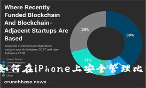 专家独家揭秘：如何在iPhone上安全管理比特币钱包的秘诀