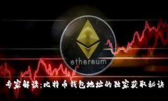 专家解读：比特币钱包地