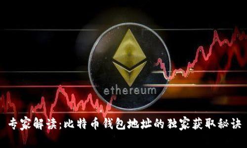 专家解读：比特币钱包地址的独家获取秘诀