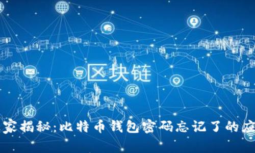 专家独家揭秘：比特币钱包密码忘记了的应对秘诀