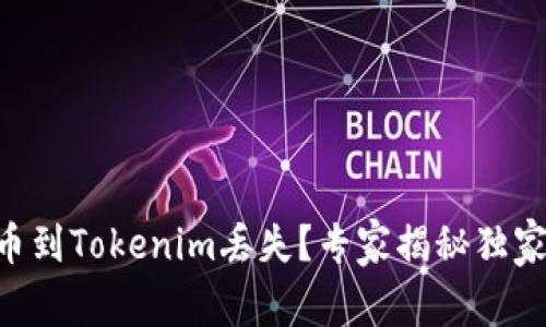 交易所提币到Tokenim丢失？专家揭秘独家解决秘诀！