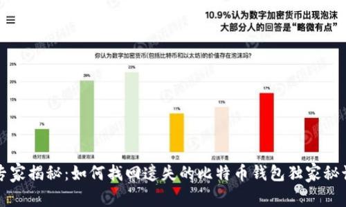 专家揭秘：如何找回遗失的比特币钱包独家秘诀