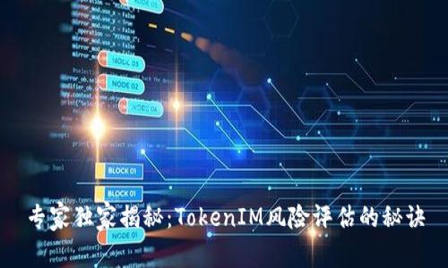 专家独家揭秘：TokenIM风险评估的秘诀