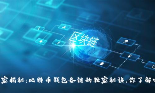 专家揭秘：比特币钱包各链的独家秘诀，你了解吗？