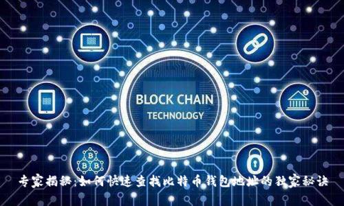 专家揭秘：如何快速查找比特币钱包地址的独家秘诀