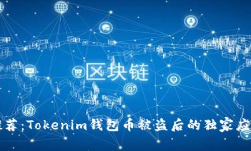 专家推荐：Tokenim钱包币被盗后的独家应对秘诀