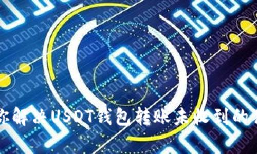 专家教你解决USDT钱包转账未收到的独家秘诀