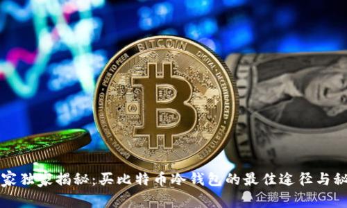 专家独家揭秘：买比特币冷钱包的最佳途径与秘诀