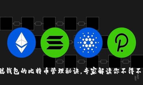 独家揭秘：中本聪钱包的比特币管理秘诀，专家解读你不得不知道的安全技巧