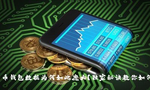 专家揭秘：比特币钱包数据为何如此庞大？独家秘诀教你如何节省存储空间