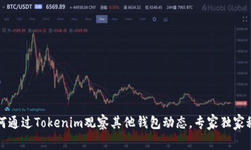 如何通过Tokenim观察其他钱包动态，专家独家秘诀