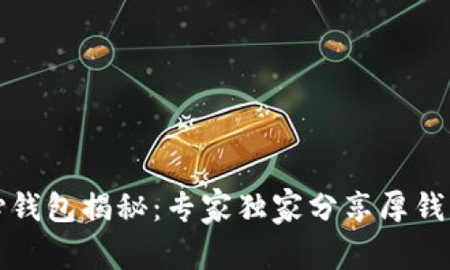 比特币核心钱包揭秘：专家独家分享厚钱包使用秘诀