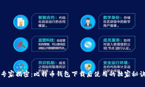 专家揭密：比特币钱包下载后使用的独家秘诀