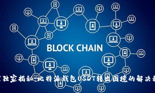 专家独家揭秘：比特派钱包USDT转出困境的解决秘诀！