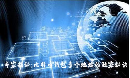 专家揭秘：比特币钱包多个地址的独家秘诀