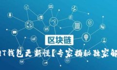 比特币QT钱包更新慢？专家