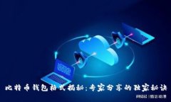 比特币钱包格式揭秘：专