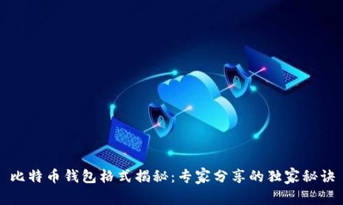 比特币钱包格式揭秘：专家分享的独家秘诀