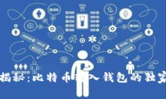 专家揭秘：比特币转入钱