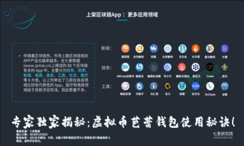专家独家揭秘：虚拟币芭蕾钱包使用秘诀！